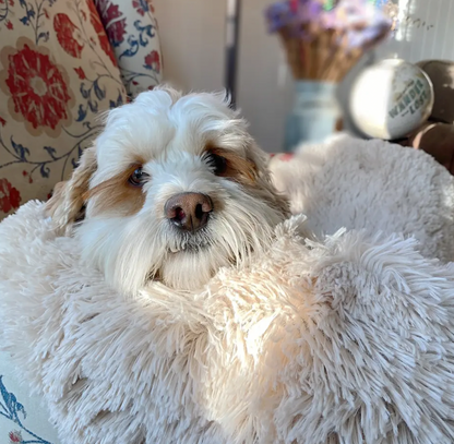 Snugy Hondendeken™ | Voorkom Slapeloosheid Voor Je Huisdier