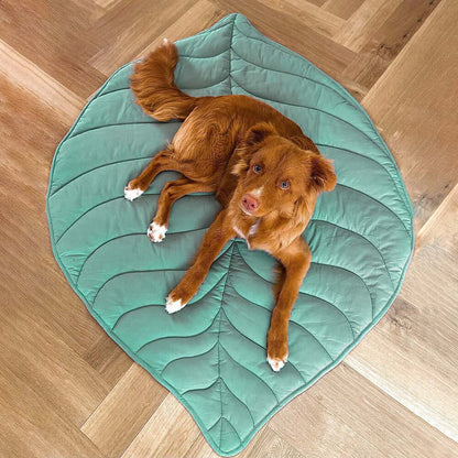 YumiDog™ - Unieke & Comfortabele Hondendeken